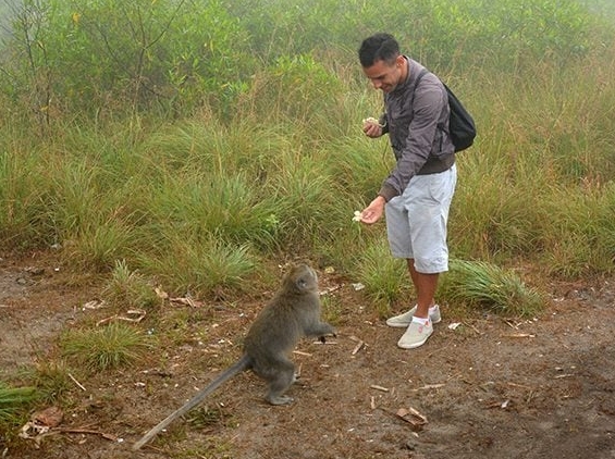 mount batur monkeys