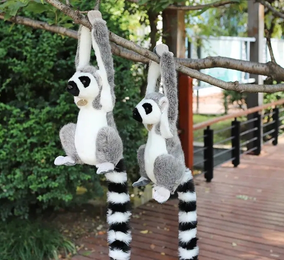 lemur hanging