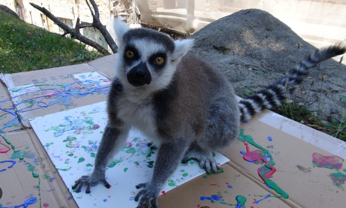 painting with lemurs florida