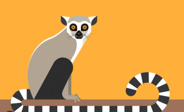 lemur graphic