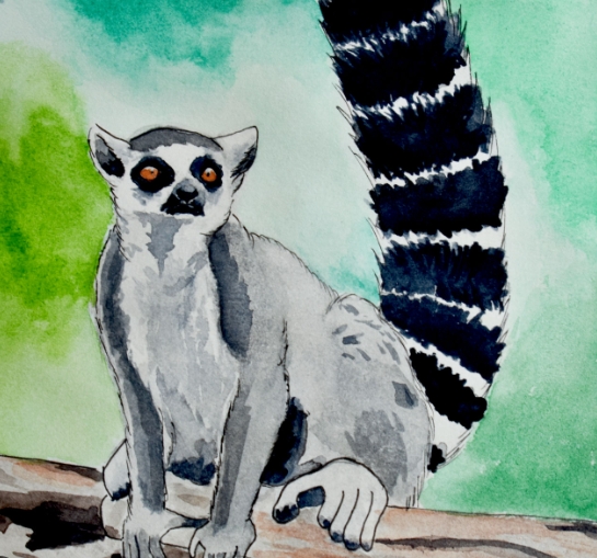 l is for lemur