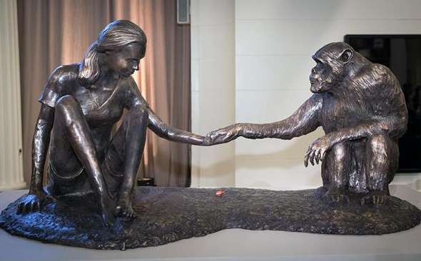 life size Chimpanzee sculpture